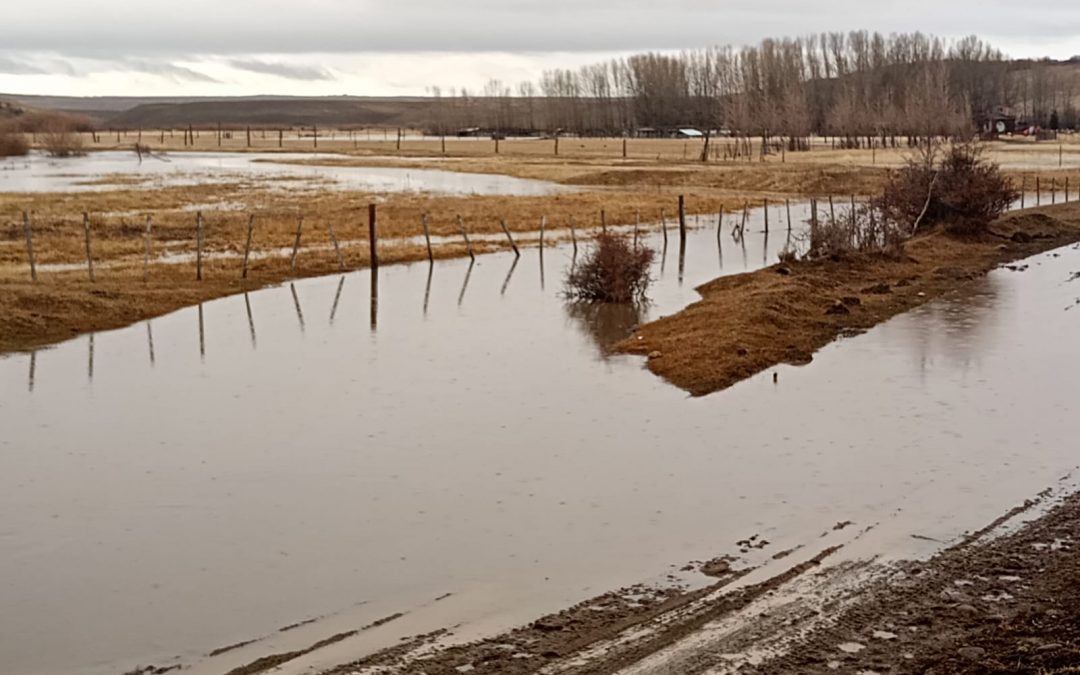 Vidal dio instrucciones de enviar toda la maquinaria disponible a Los Antiguos, Perito Moreno, Lago Posadas y Gobernador Gregores