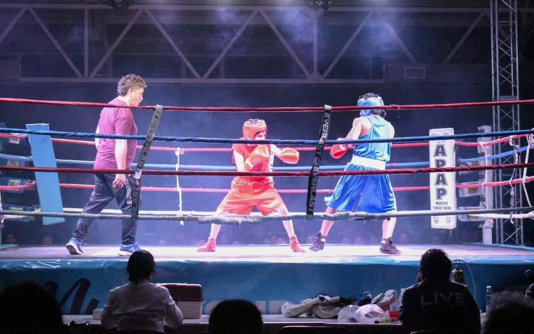 Resultados del Festival de Boxeo “Nuevas Promesas”