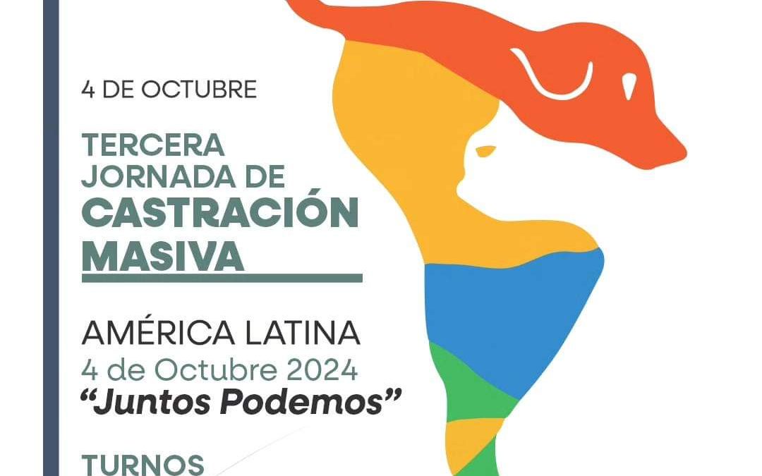 Río Gallegos participa de jornada de castración masiva junto a ciudades de toda latinoamerica