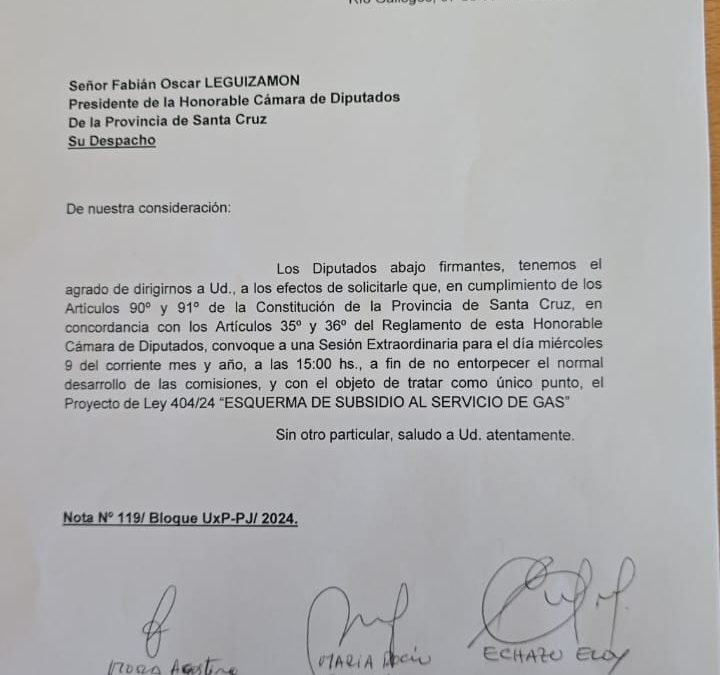 Diputados UxP: “Pedimos una extraordinaria para tratar la ley de subsidios a la tarifa de gas”