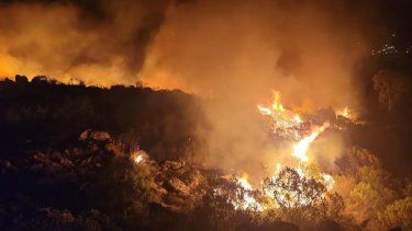 Incendio forestal en Tandil: Importante despliegue para controlar las llamas en el Cerro de la Cruz